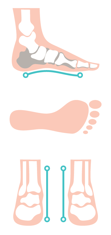THE NORMAL FOOT
